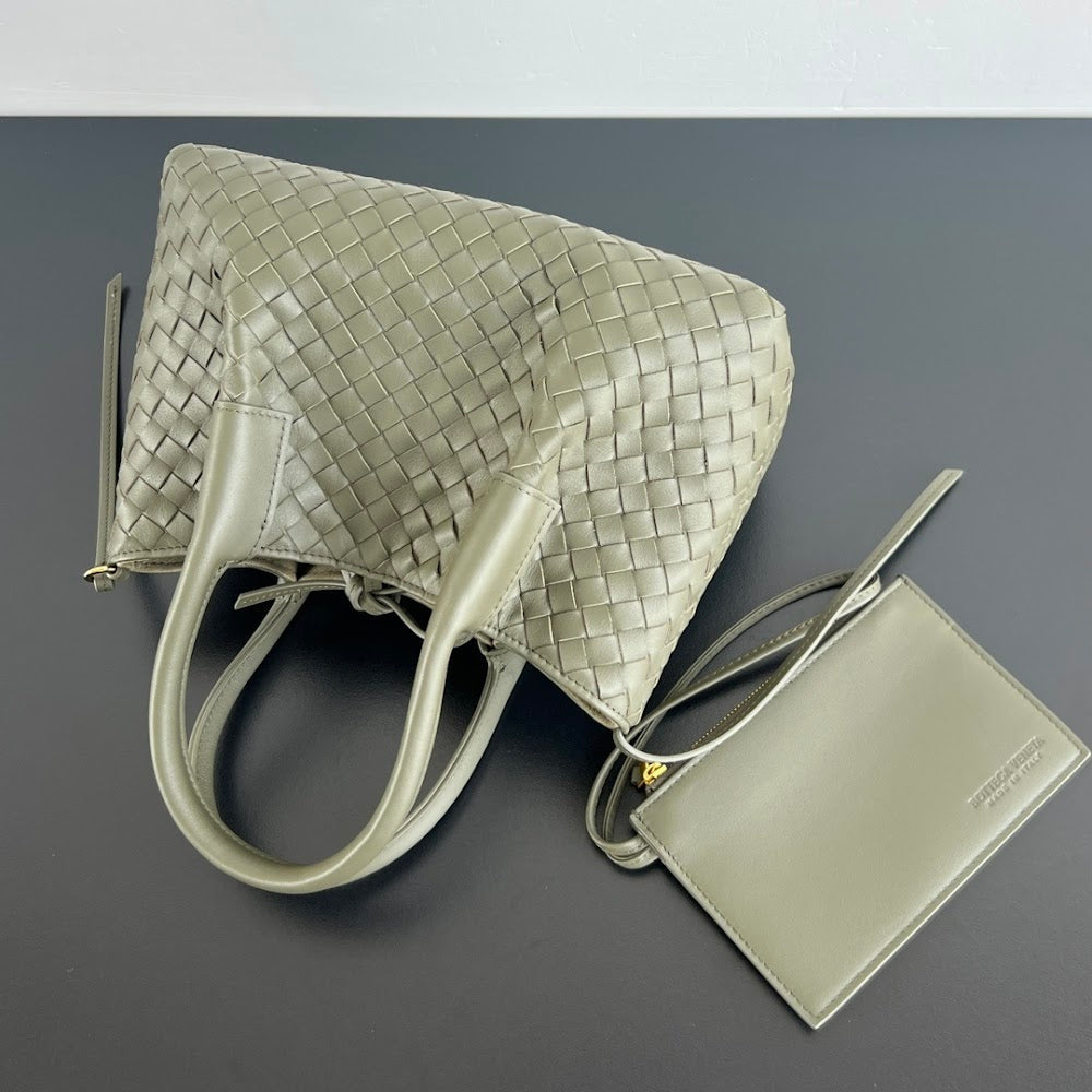 Ezyycart Bags Bottegan Luxury Bag --91120