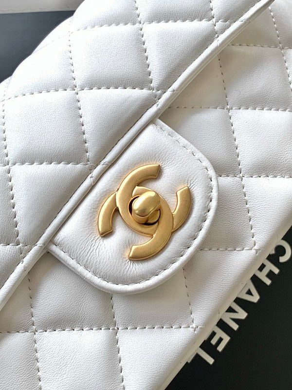 new-designer-premium-bags-nm20165
