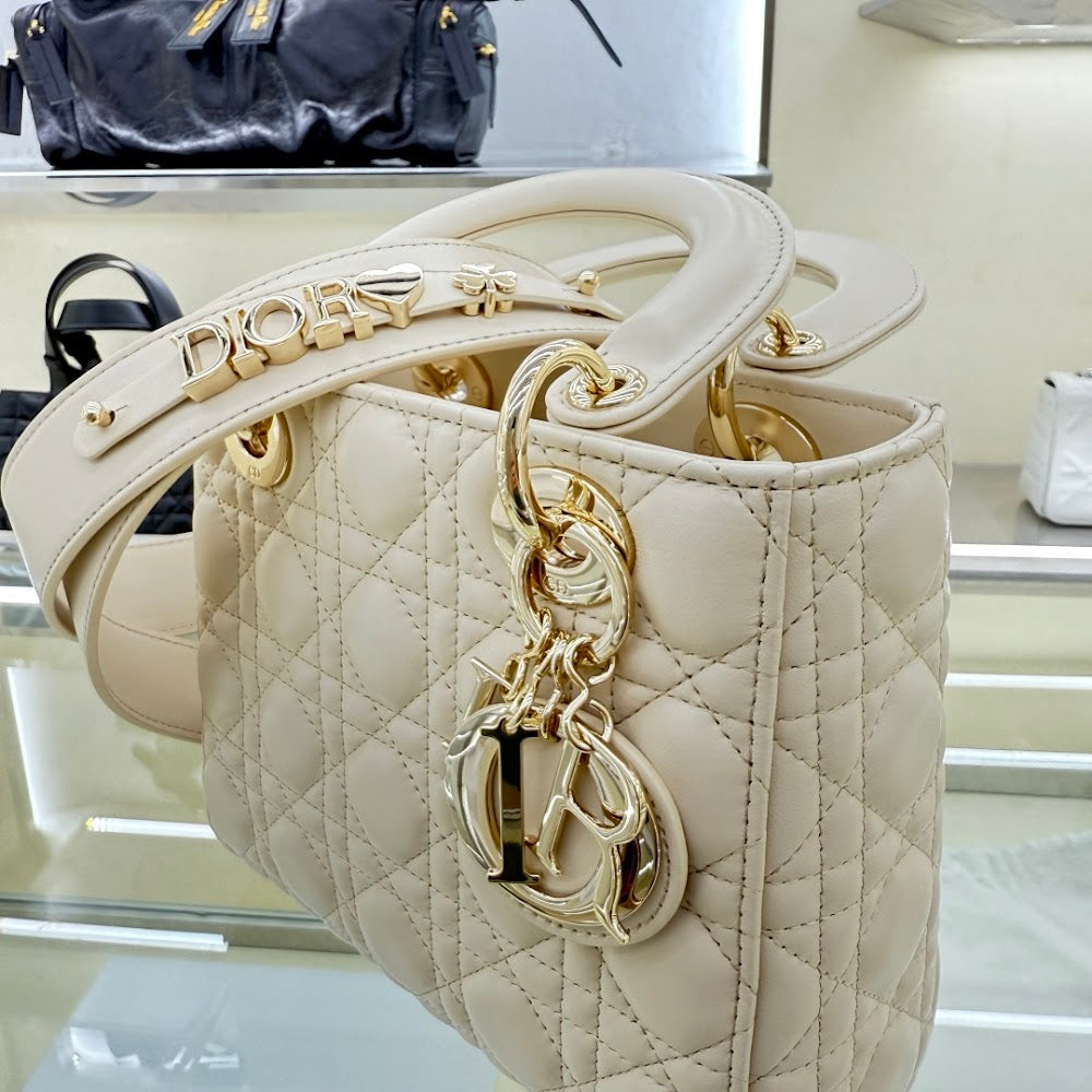Anum Bags Diorn Luxury Bag --114446