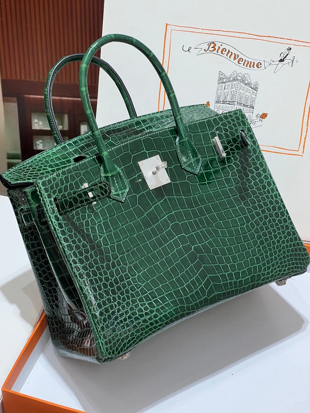 Anum Bags Hermesn Luxury Bag --117167