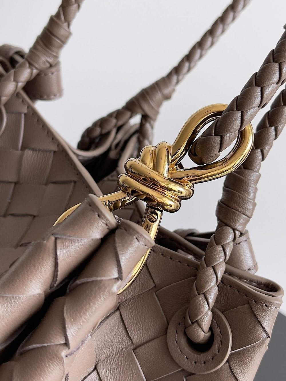 Ezyycart Bags Bottegan Luxury Bag --90962