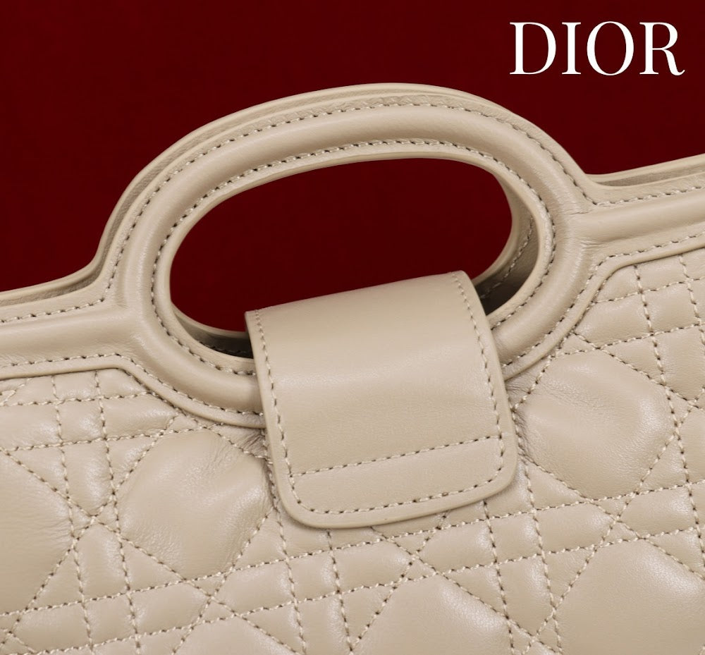 Anum Bags Diorn Luxury Bag --114562
