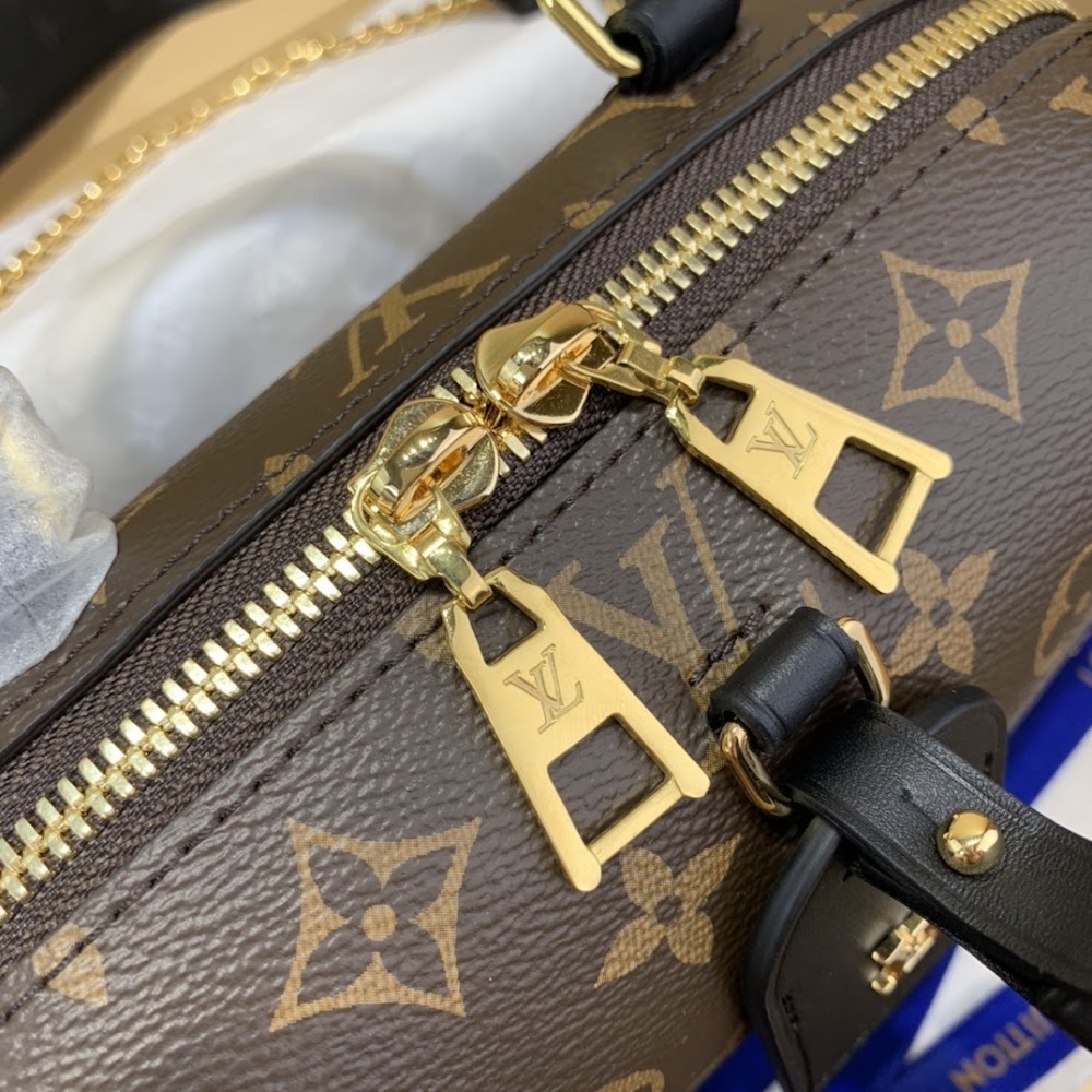 Anum Bags LV Luxury Bag --55785