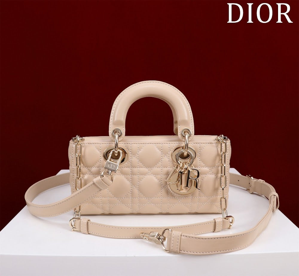 Anum Bags Diorn Luxury Bag --114761