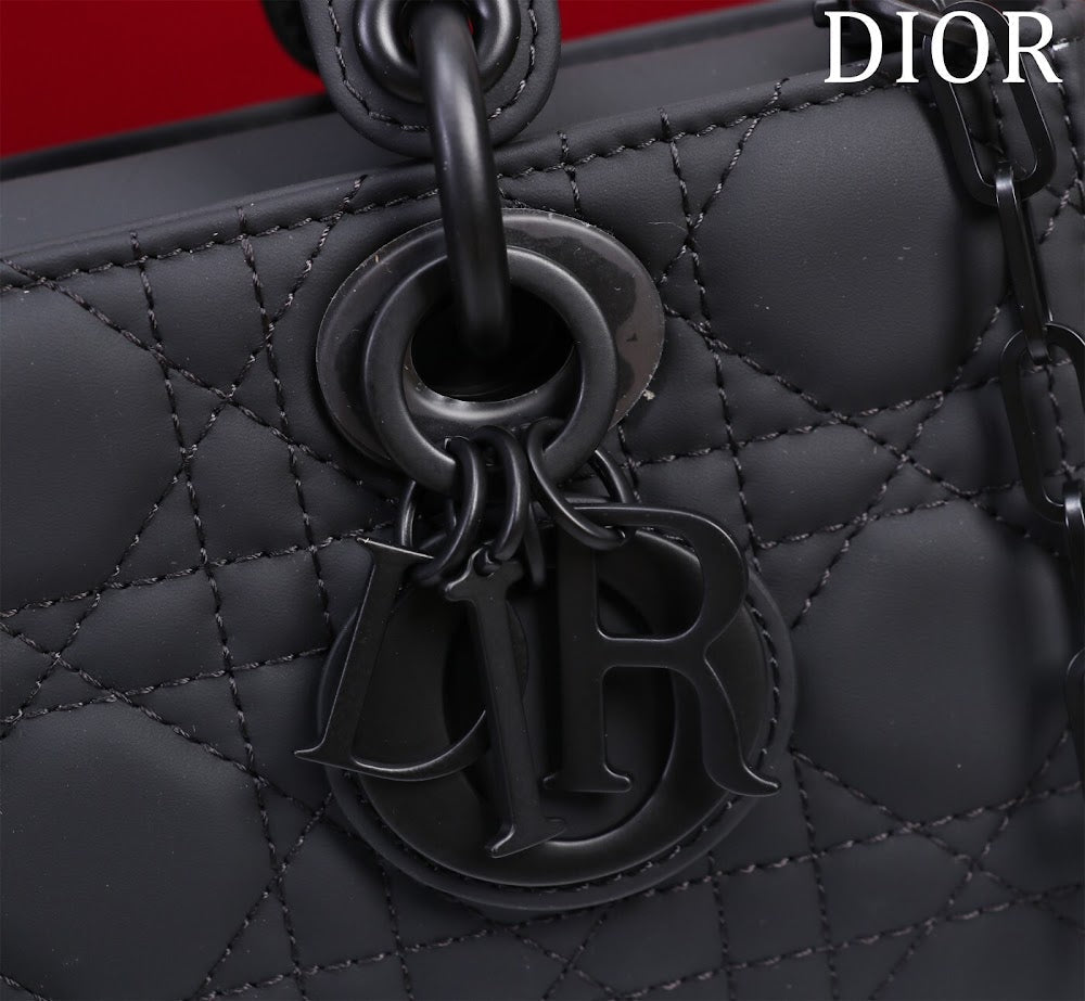 Anum Bags Diorn Luxury Bag --114857