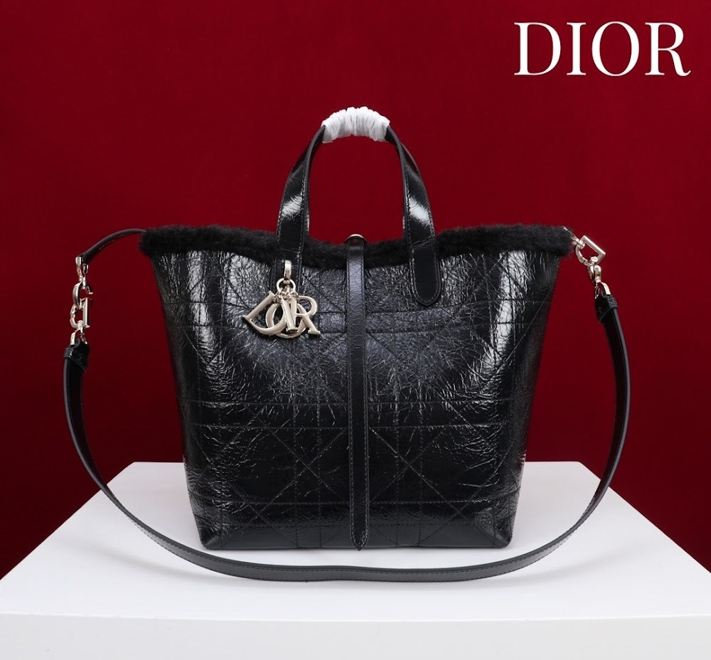 Ezyycart Bags Diorn Luxury Bag --116121
