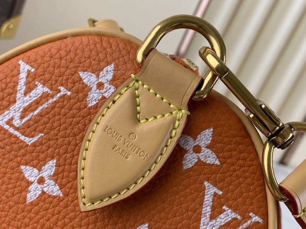 Ezyycart Bags LV Luxury Bag --55906