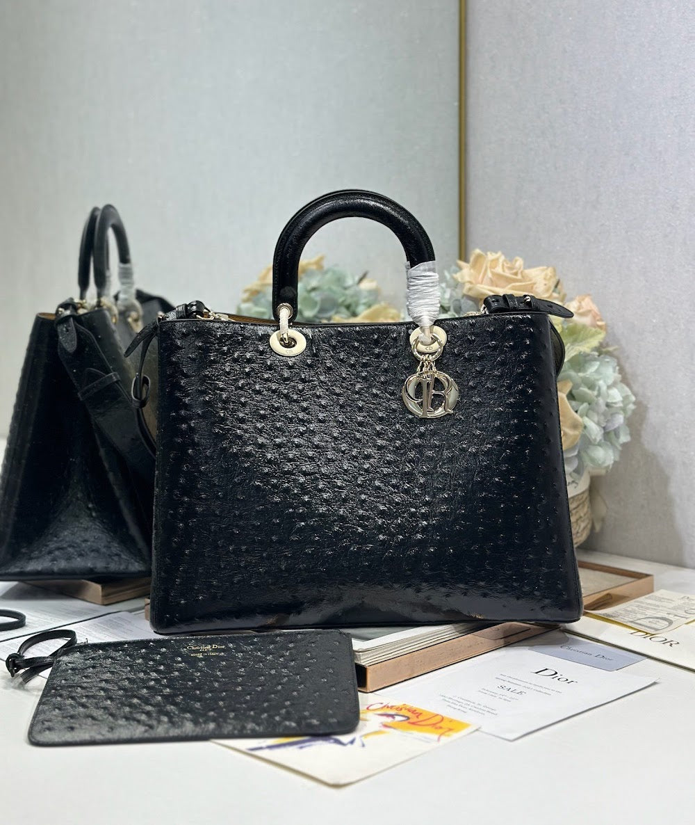 Ezyycart Bags Diorn Luxury Bag --116419