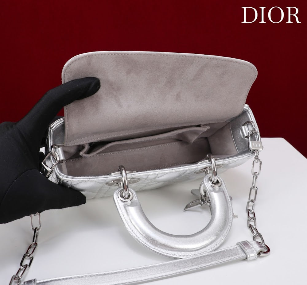 Anum Bags Diorn Luxury Bag --114718