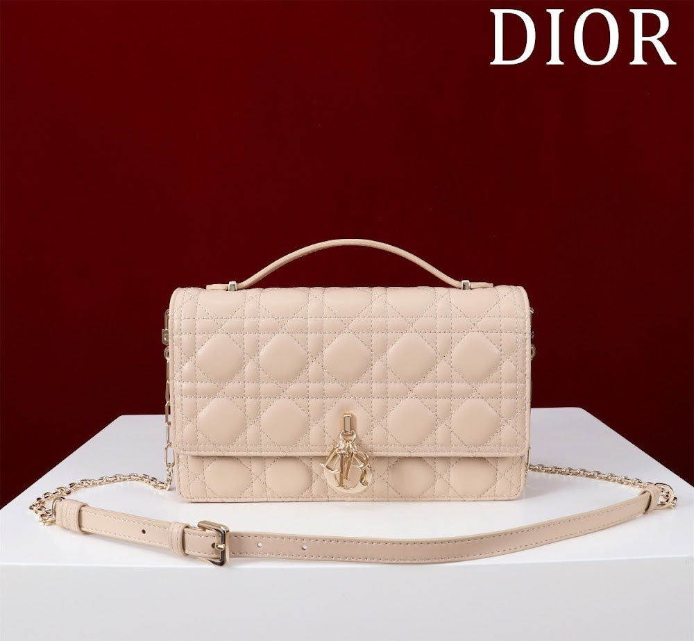 Ezyycart Bags Diorn Luxury Bag --116291