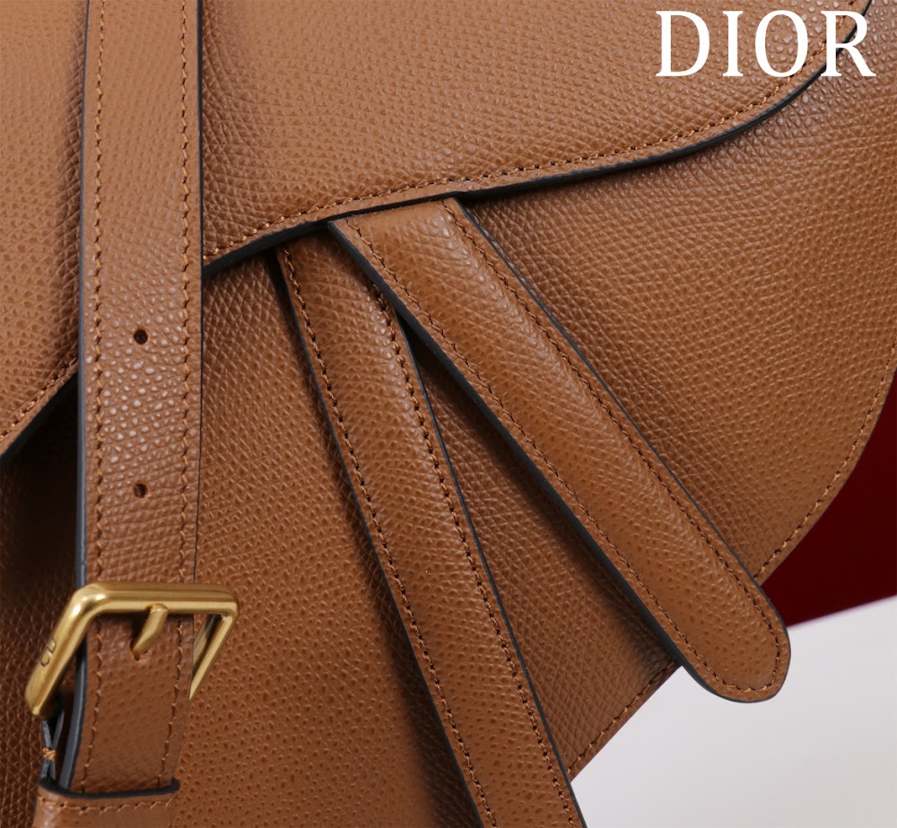 Anum Bags Diorn Luxury Bag --116497