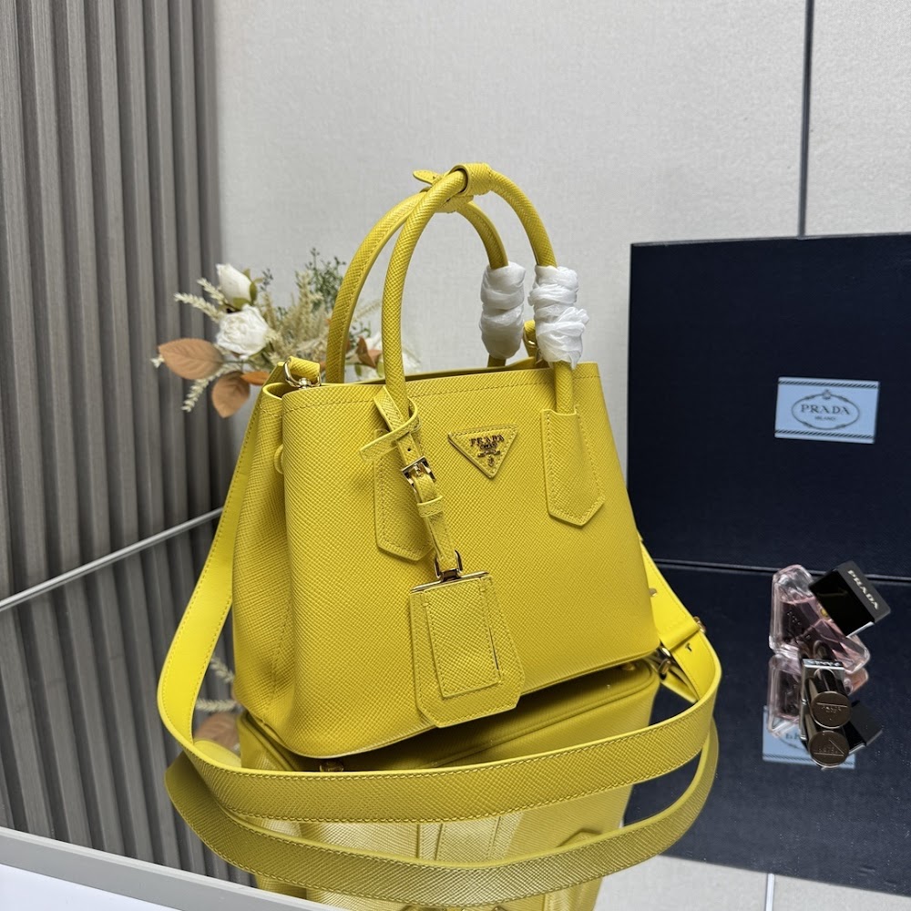 Ezyycart Bags Pradn Luxury Bag --102318