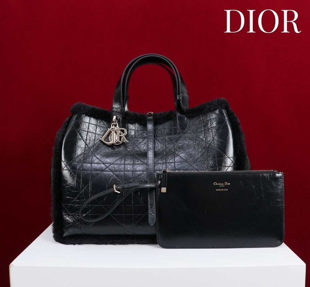 Ezyycart Bags Diorn Luxury Bag --116118