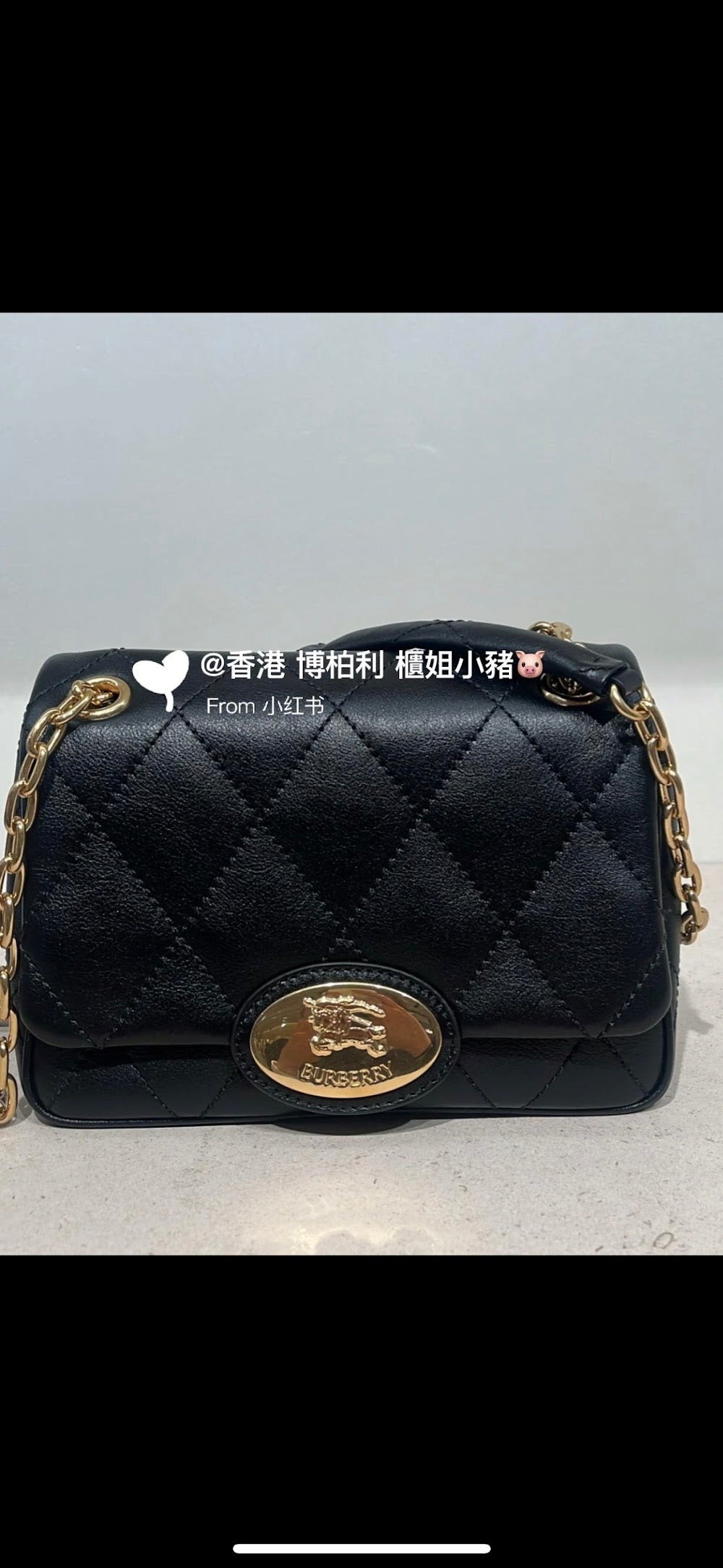 Ezyycart Bags Burberryn Luxury Bag --92328