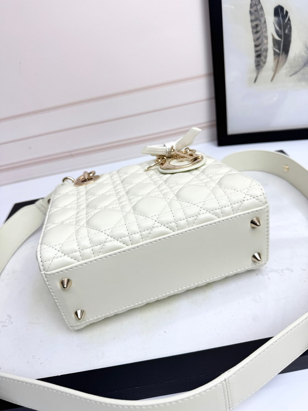 Ezyycart Bags Diorn Luxury Bag --114950