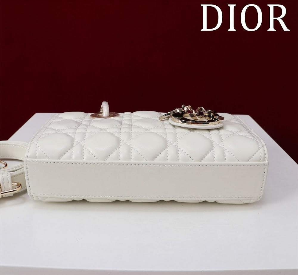 Anum Bags Diorn Luxury Bag --114845
