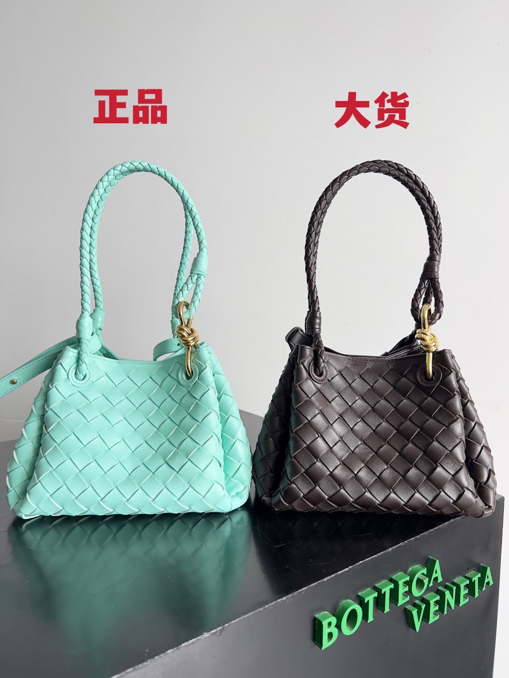 Ezyycart Bags Bottegan Luxury Bag --91093
