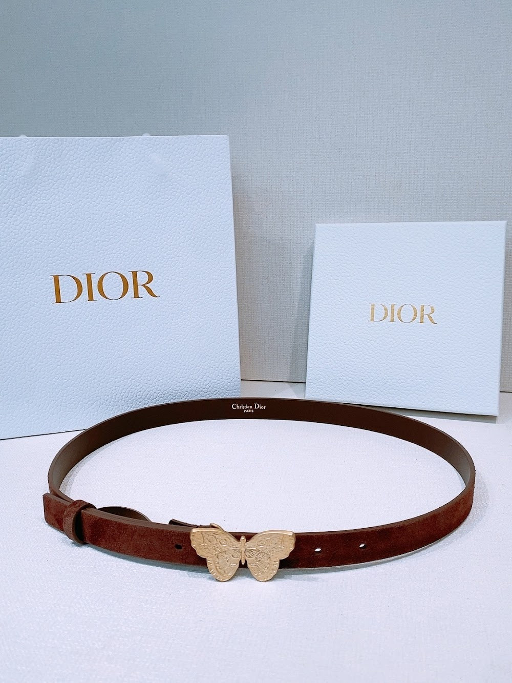 Anum Bags Diorn Luxury Belt --104870