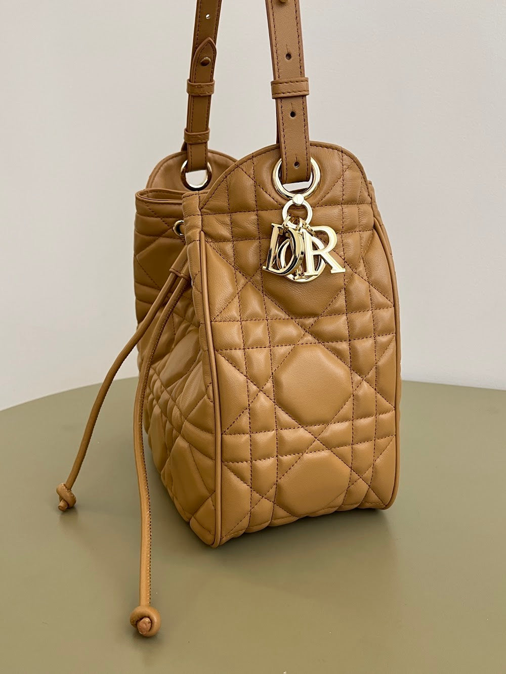 Anum Bags Diorn Luxury Bag --114958