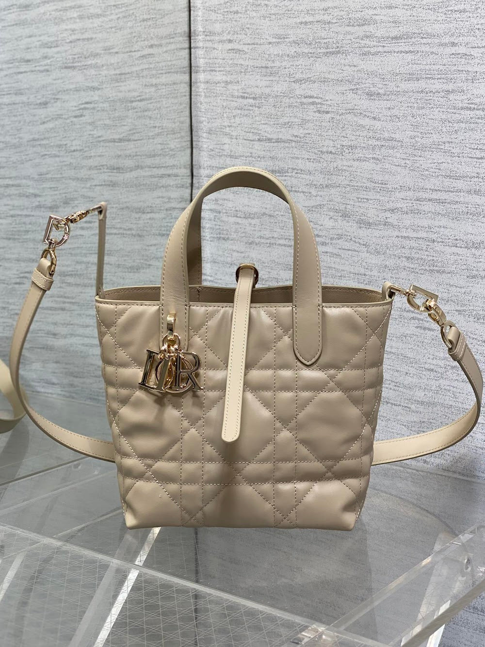 Ezyycart Bags Diorn Luxury Bag --115663