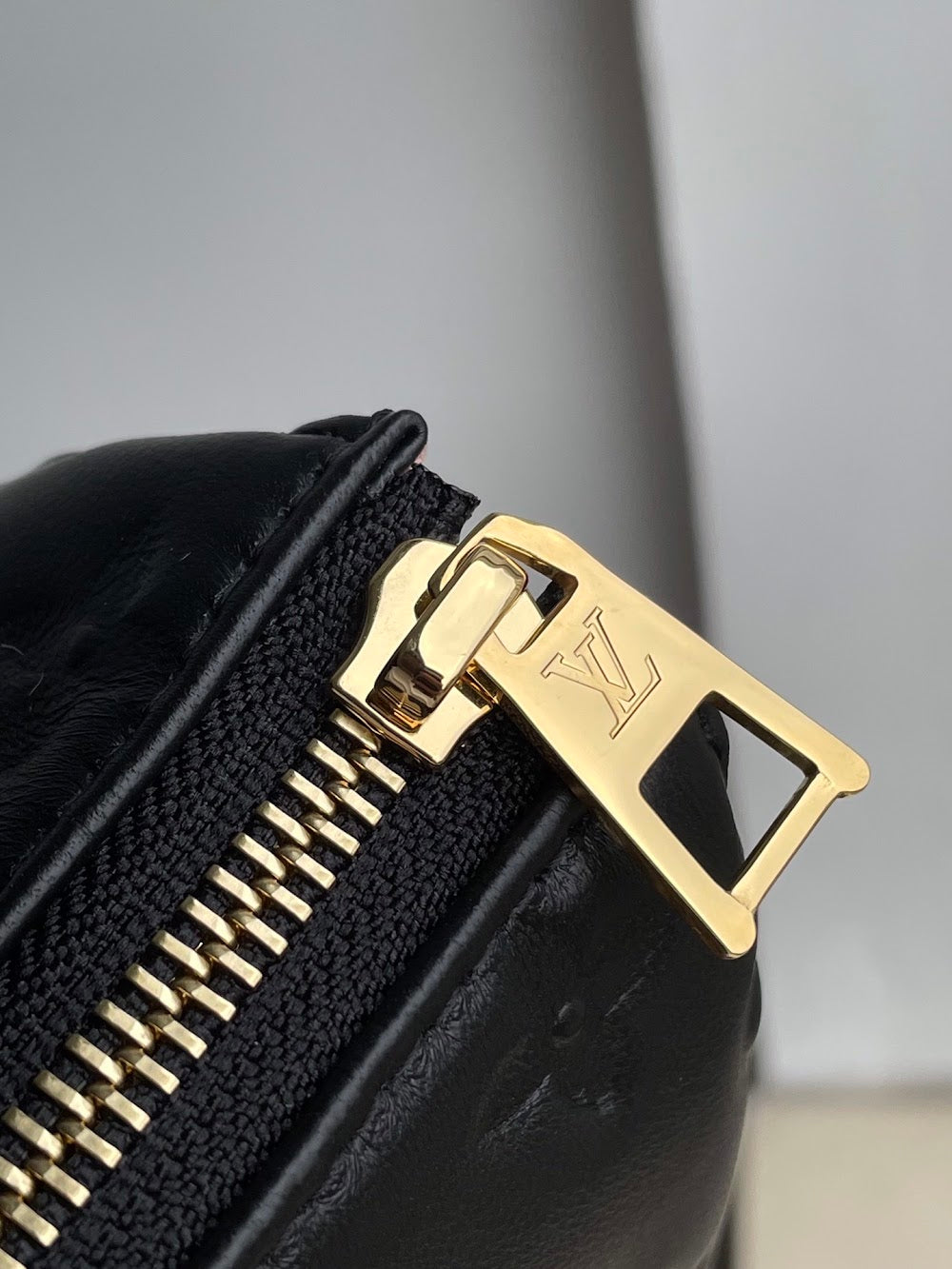 Anum Bags ln Luxury Bag --59586