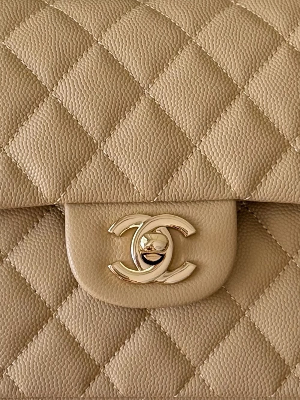 Anum Bags CHn Luxury Bag --114038