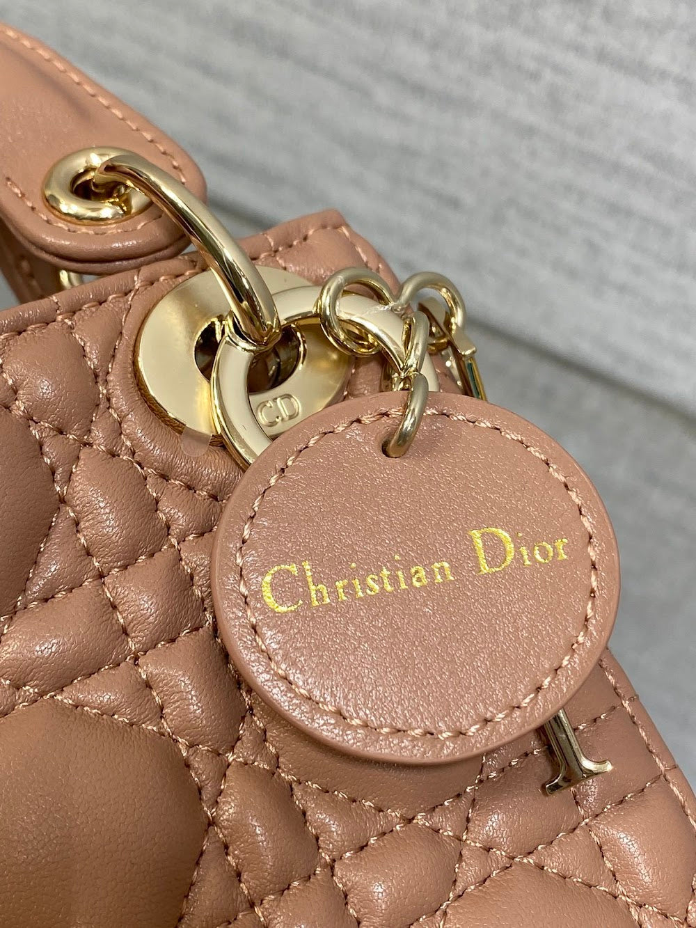 Anum Bags Diorn Luxury Bag --114976