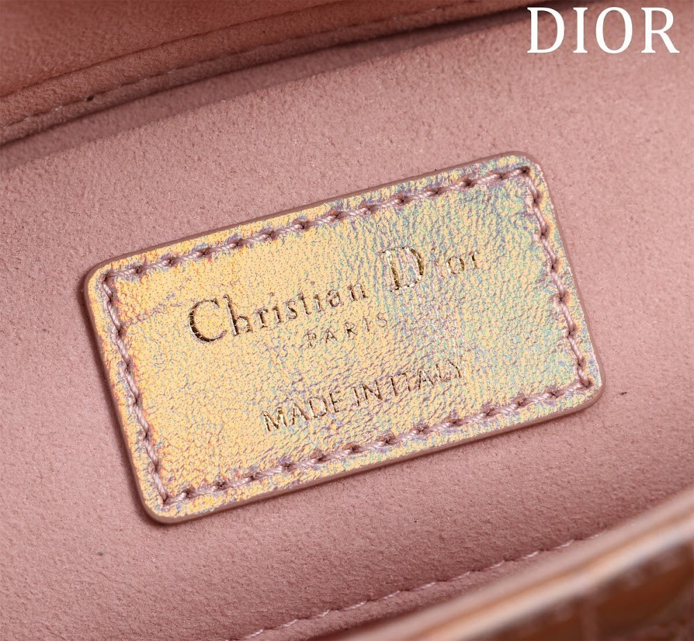 Anum Bags Diorn Luxury Bag --114737