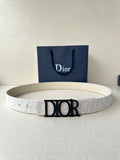 Anum Bags Diorn Luxury Belt --107784