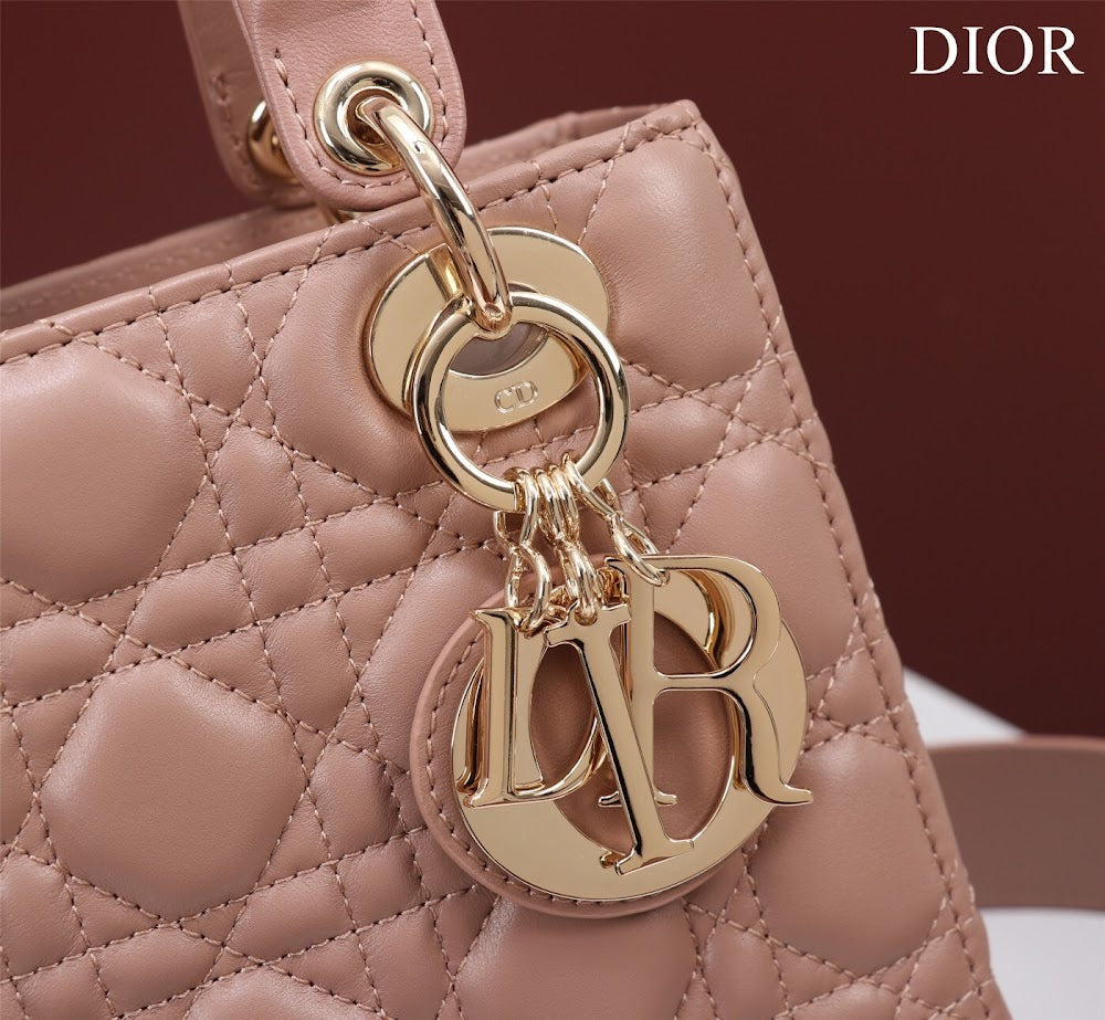 Ezyycart Bags Diorn Luxury Bag --115918