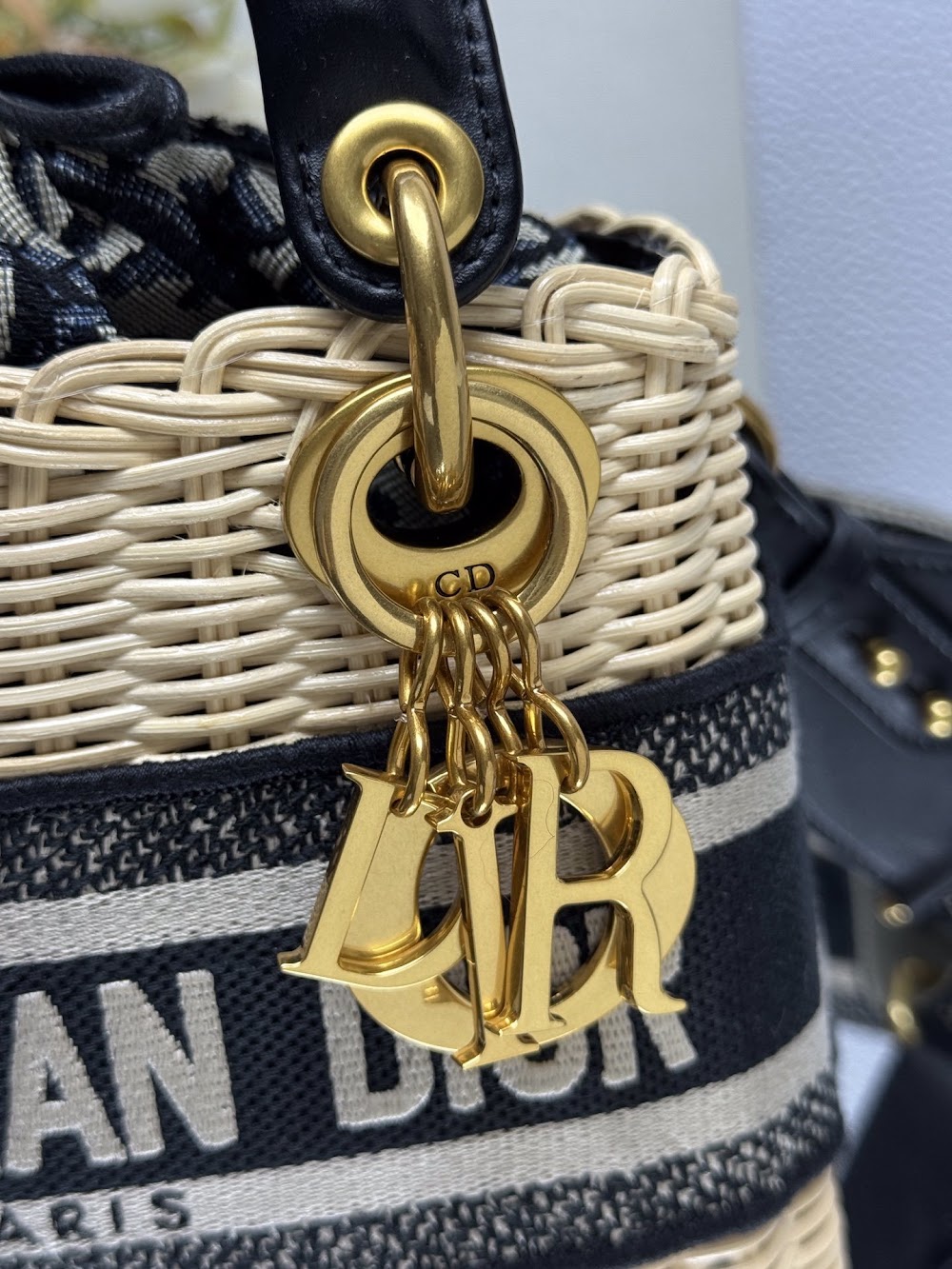 Ezyycart Bags Diorn Luxury Bag --115595