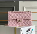 new-designer-premium-bags-nm10225