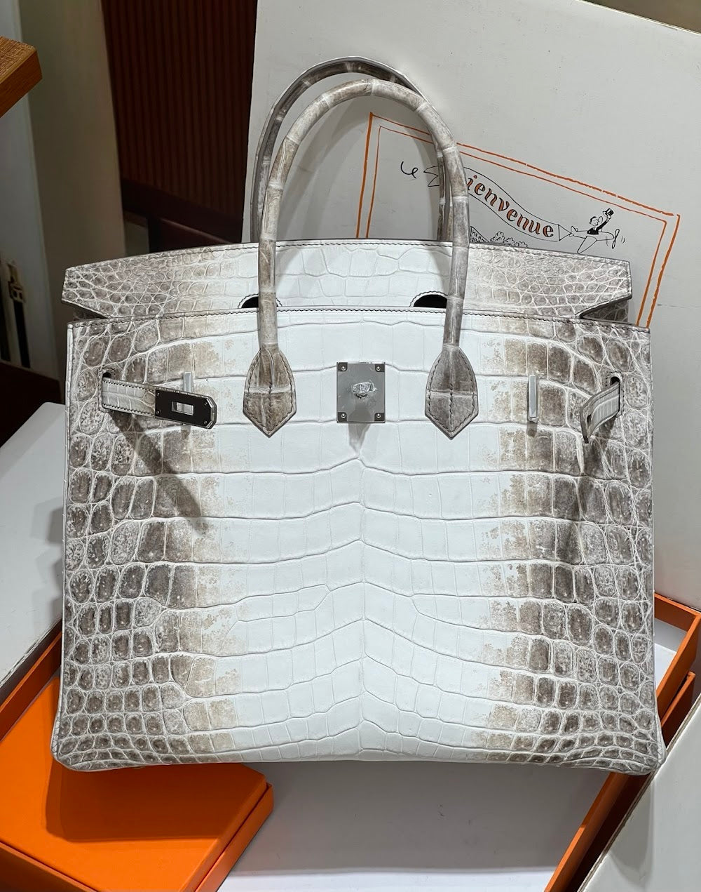 Anum Bags Hermesn Luxury Bag --116725