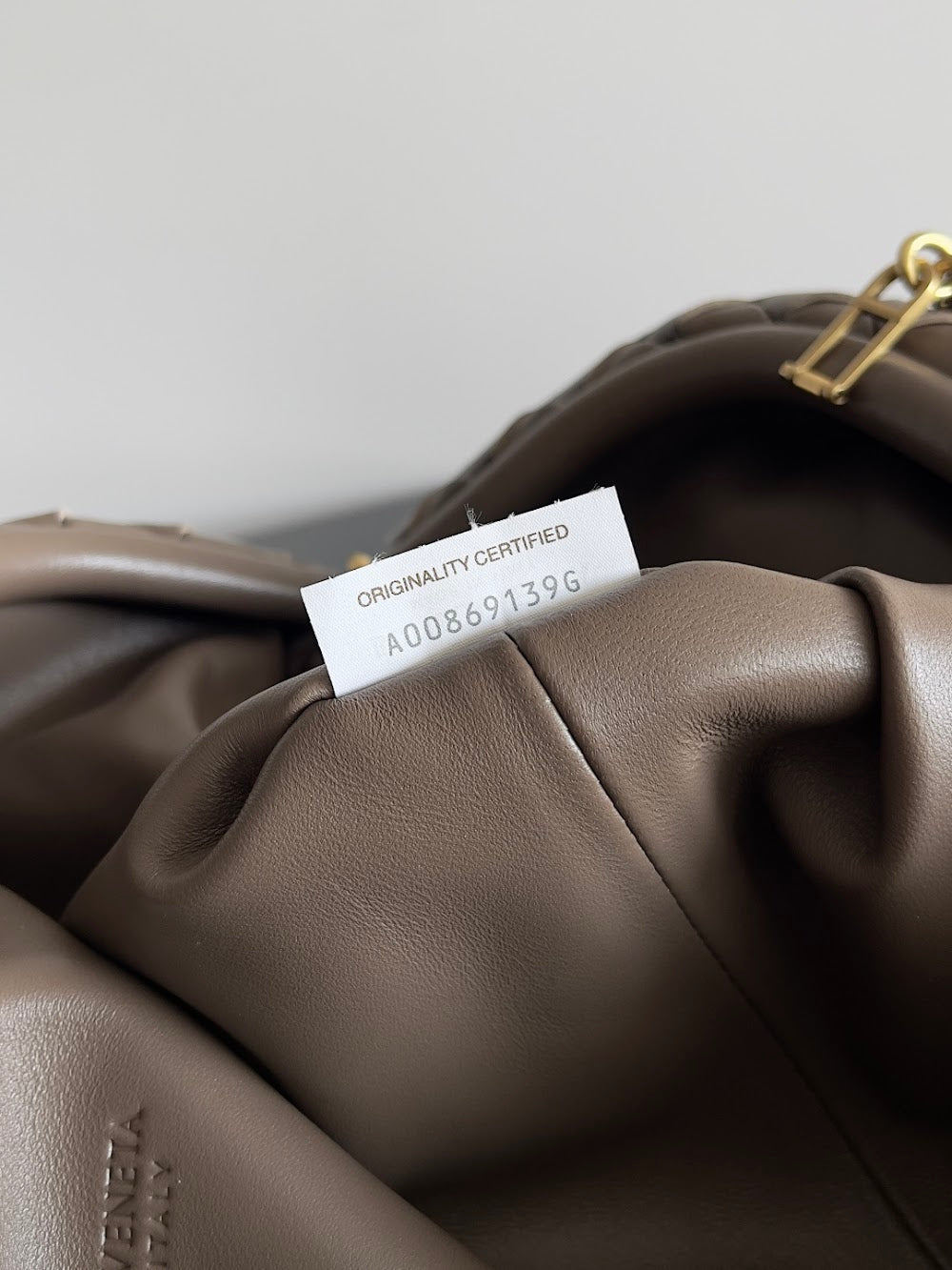Ezyycart Bags Bottegan Luxury Bag --91237