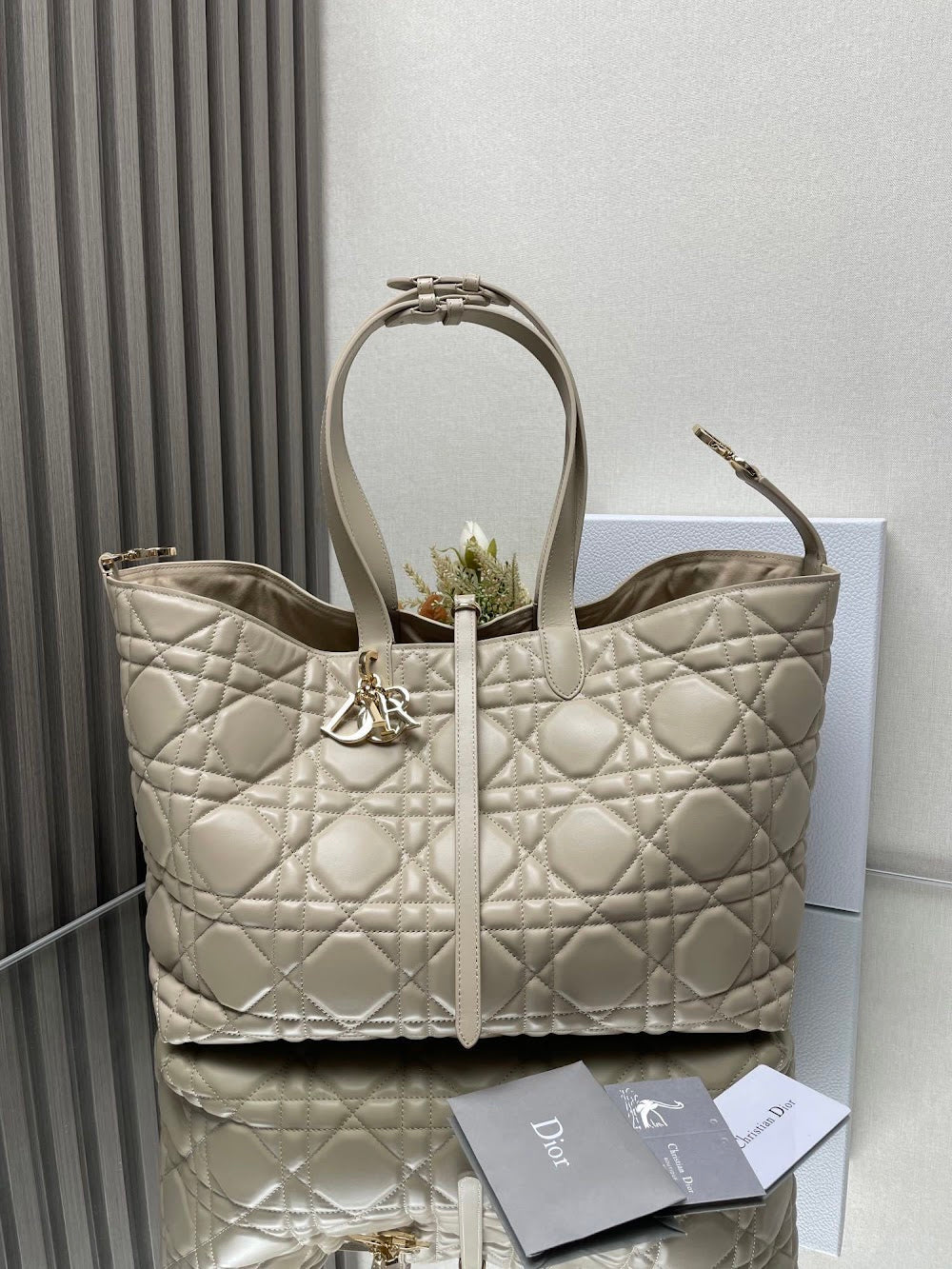 Ezyycart Bags Diorn Luxury Bag --116433