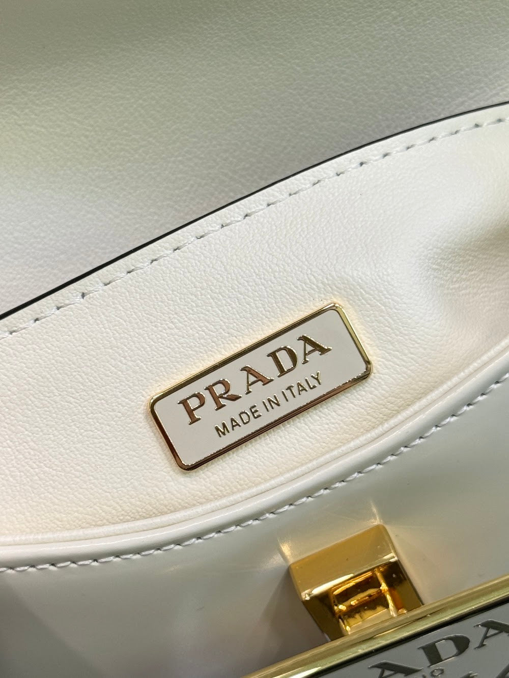 Ezyycart Bags Pradn Luxury Bag --101647