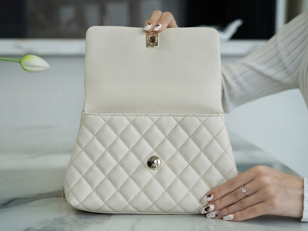 new-luxury-designer-bags-nm20557