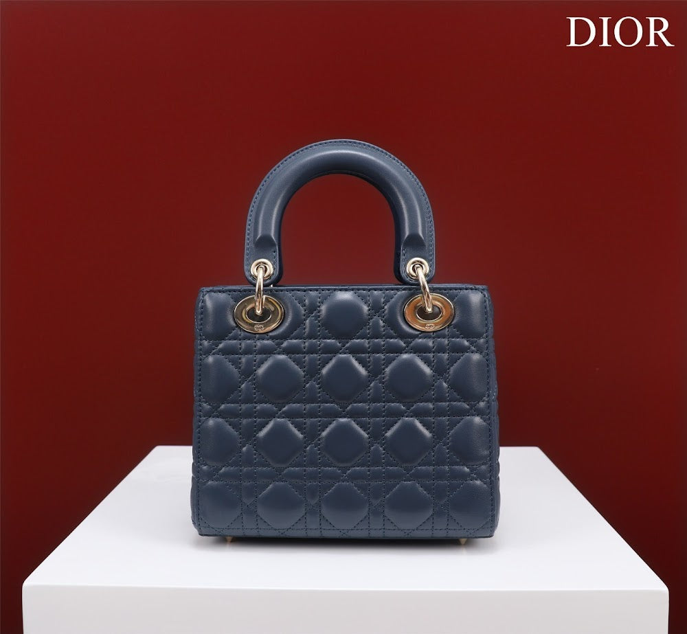 Ezyycart Bags Diorn Luxury Bag --115925