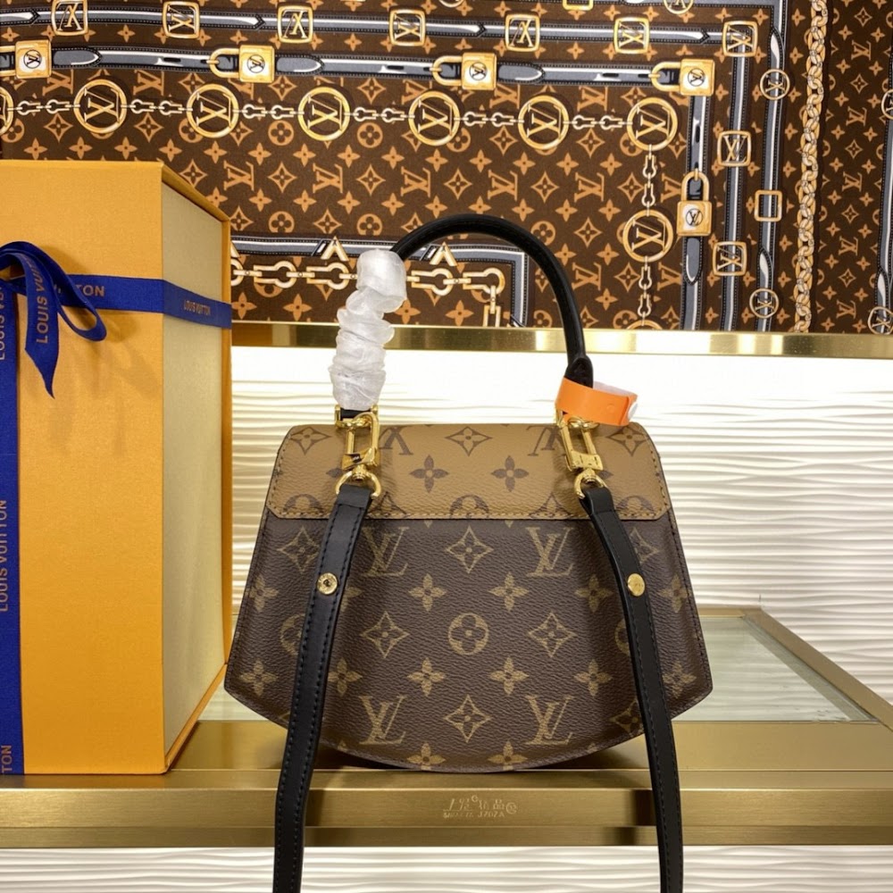 Anum Bags LVn Luxury Bag --79340