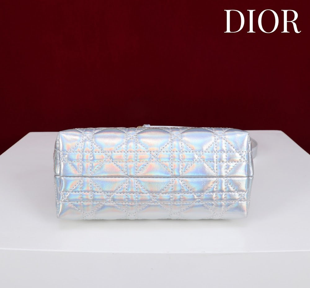 Anum Bags Diorn Luxury Bag --114554
