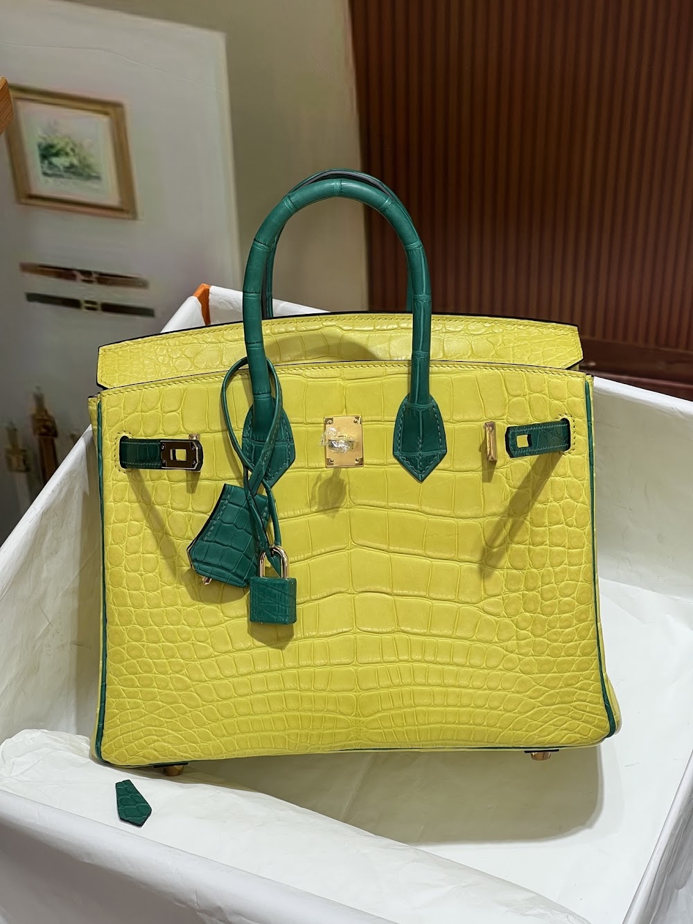 Anum Bags Hermesn Luxury Bag --116731
