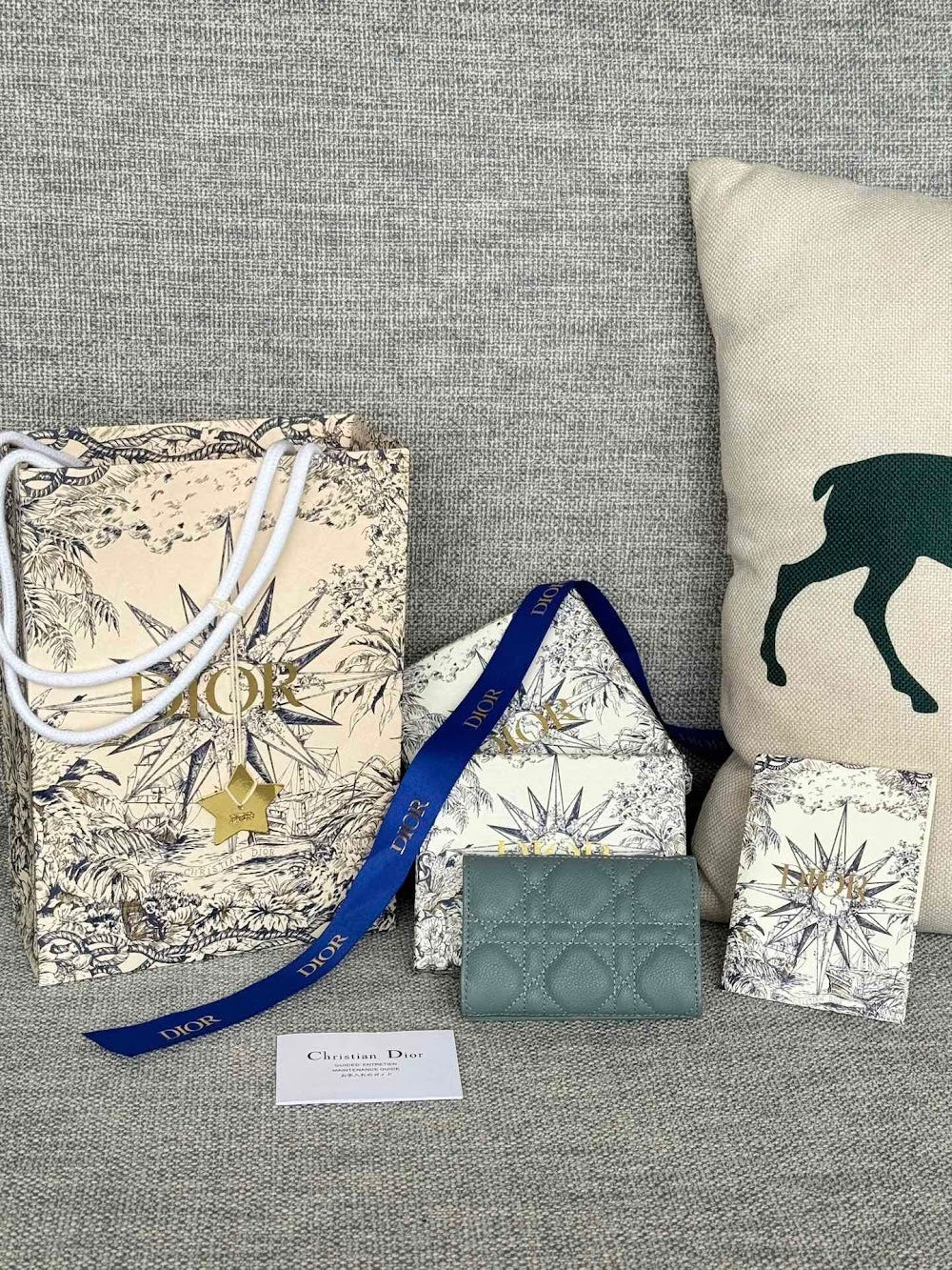 Anum Bags Diorn Luxury Bag --114625