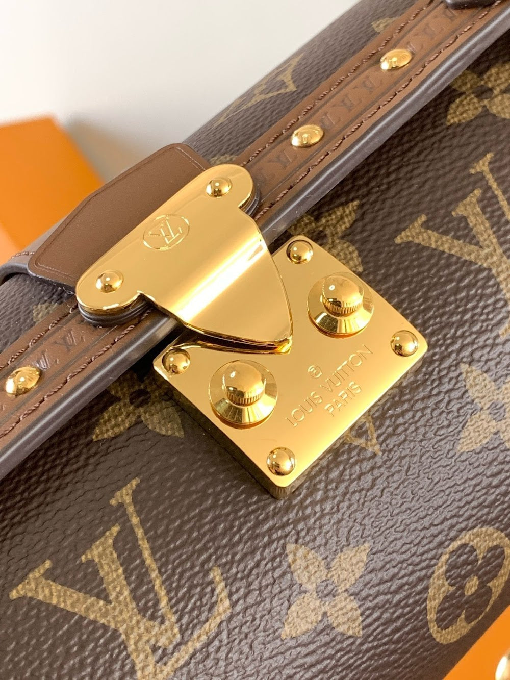 Anum Bags LVn Luxury Bag --79639