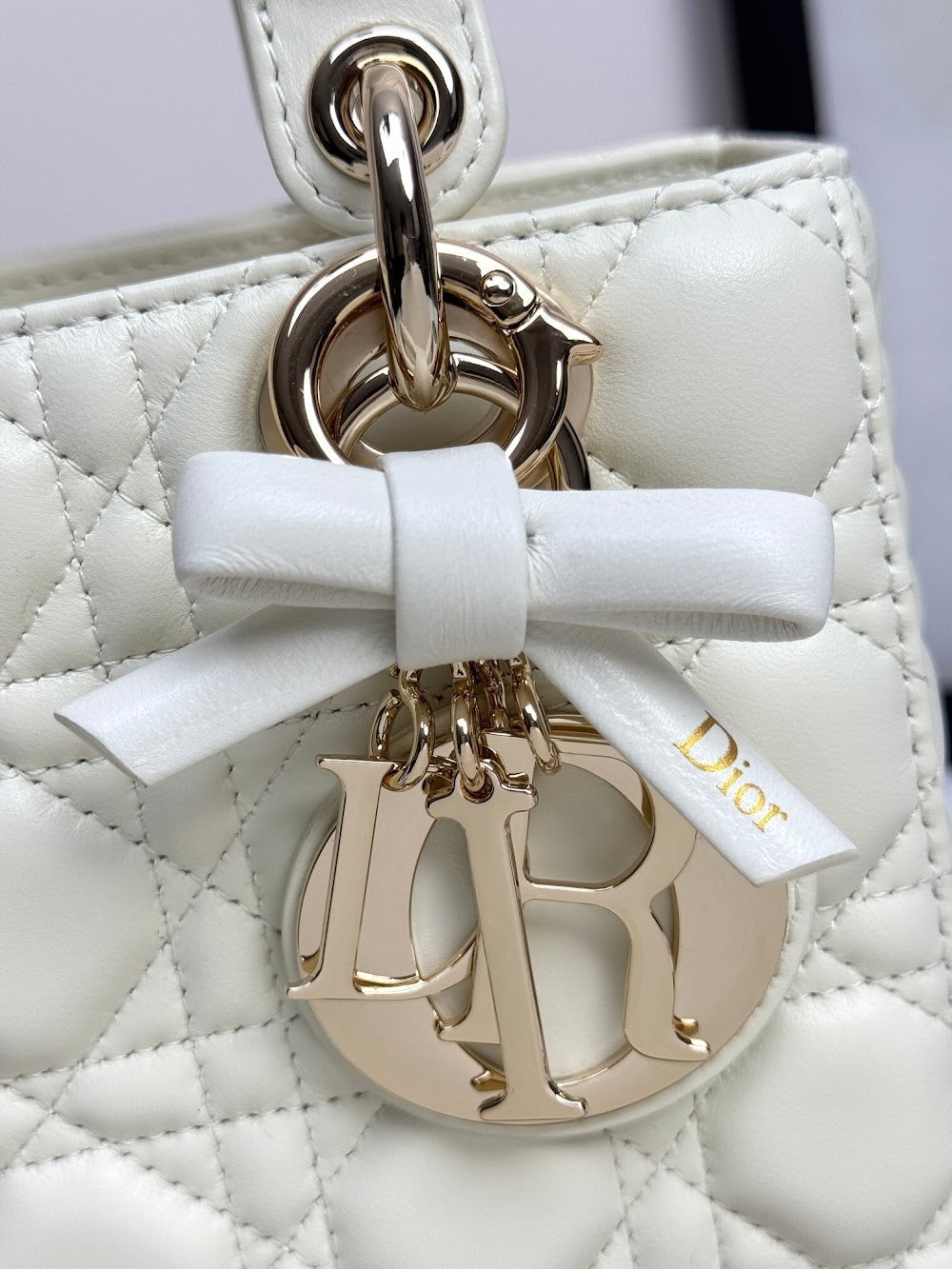 Ezyycart Bags Diorn Luxury Bag --114950