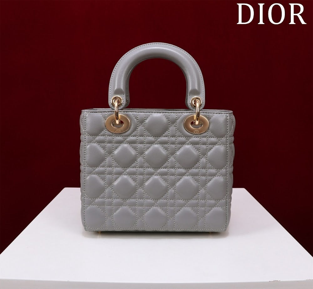 Ezyycart Bags Diorn Luxury Bag --115911