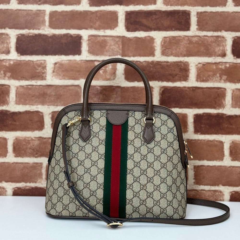 Ezyycart Bags Guccin Luxury Bag --94741