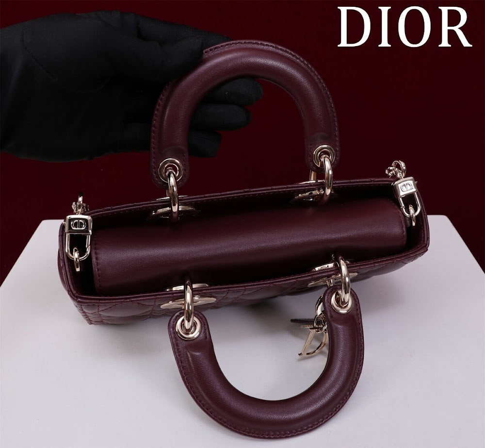 Anum Bags Diorn Luxury Bag --114760