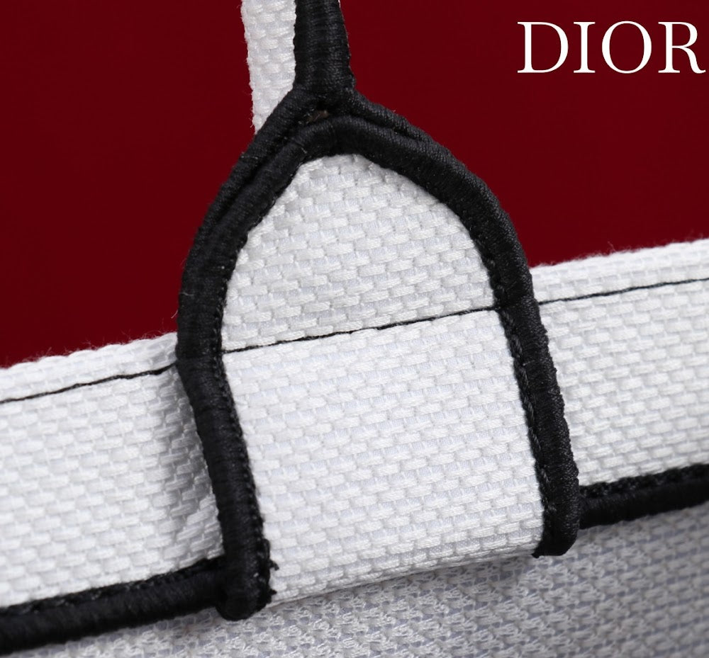 Ezyycart Bags Diorn Luxury Bag --116158