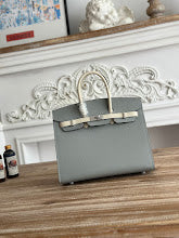 new-elite-designer-bags-nm389