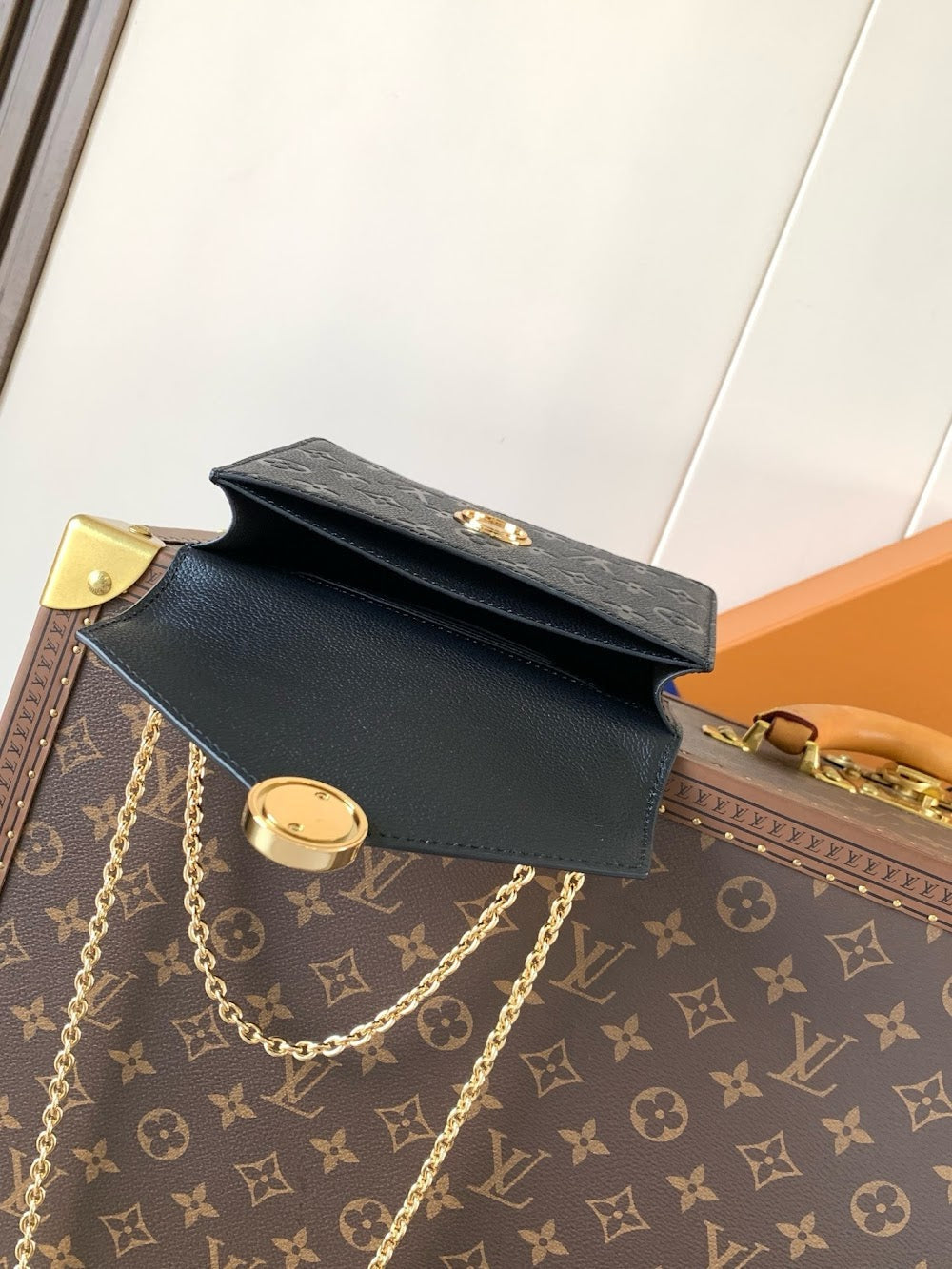 Anum Bags LVn Luxury Bag --79817